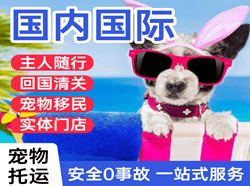嘎洒航空邮寄国际宠物托运 【国